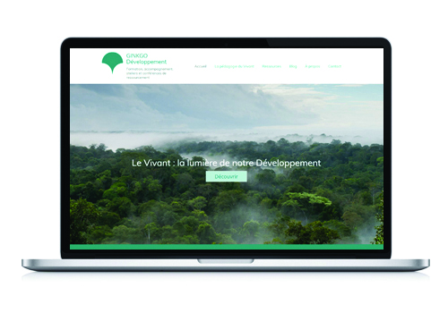 Creation site Internet Ginkgo Développement